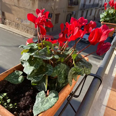 House Apartamento